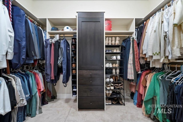 14942 Midway Rd, Nampa, ID 83651 - spacious closet featuring carpet flooring
