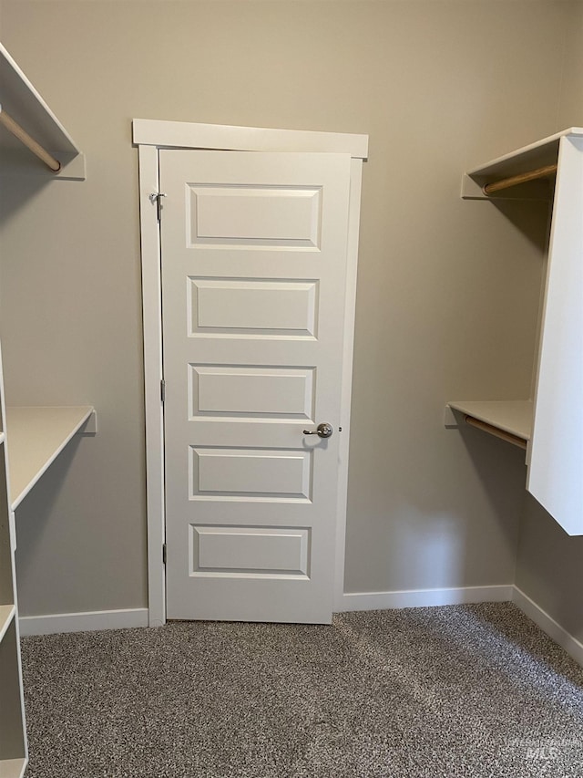 walk in closet with carpet floors