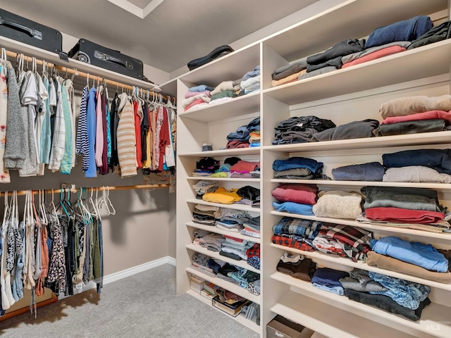 1546 N Dragonfly Ct, Eagle, ID 83616 - spacious closet with carpet flooring