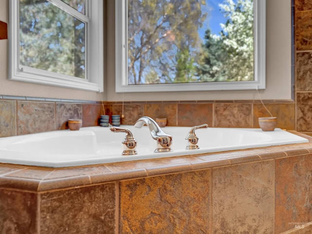 1546 N Dragonfly Ct, Eagle, ID 83616 - bathroom with a garden tub and plenty of natural light