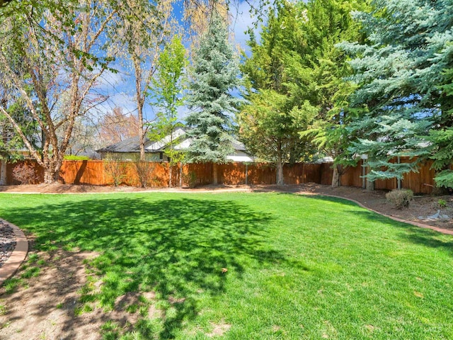 1546 N Dragonfly Ct, Eagle, ID 83616 - view of yard with a fenced backyard