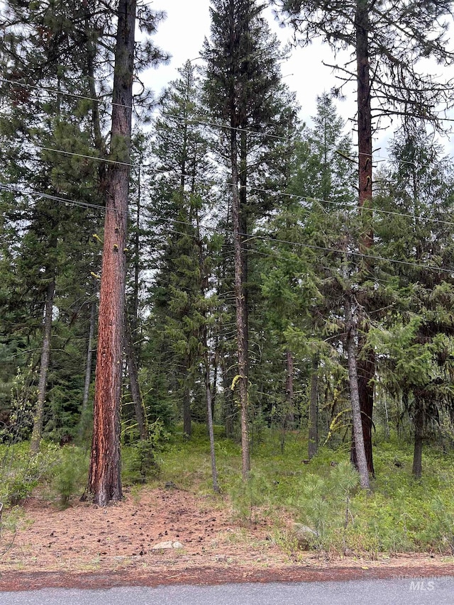 LOT2 Knights Rd, Mccall ID, 83638 land for sale