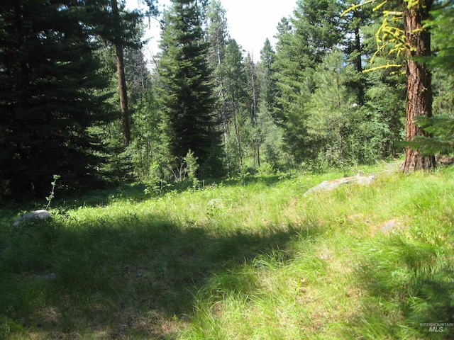 LOT2 Knights Rd, Mccall ID, 83638 land for sale