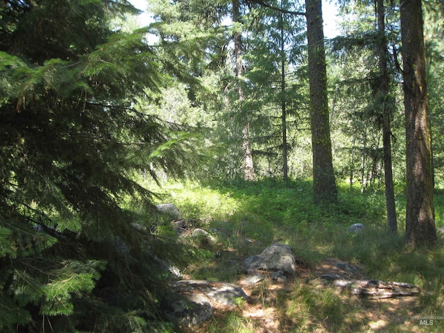 Listing photo 2 for LOT2 Knights Rd, Mccall ID 83638