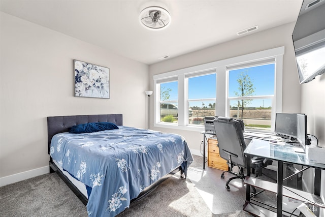 3056 E Columbus River Ct, Nampa, ID 83686 - bedroom featuring visible vents, baseboards, and multiple windows