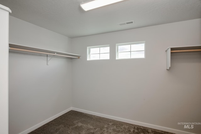 walk in closet featuring visible vents and dark colored carpet