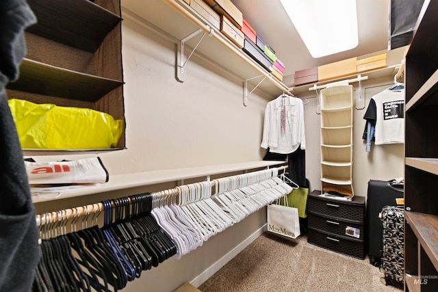 spacious closet with carpet