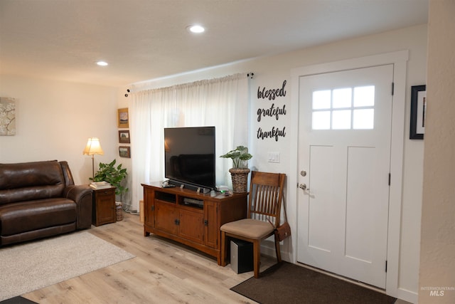 living room featuring light hardwood / wood-style flooring