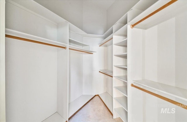 900 N Player Ave, Eagle, ID 83616 - walk in closet featuring light colored carpet