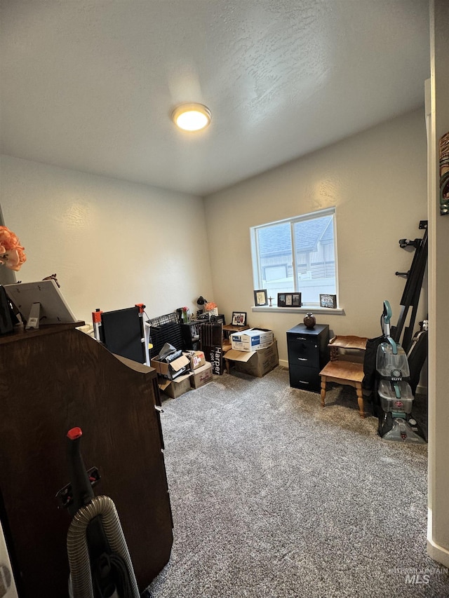 miscellaneous room featuring carpet flooring