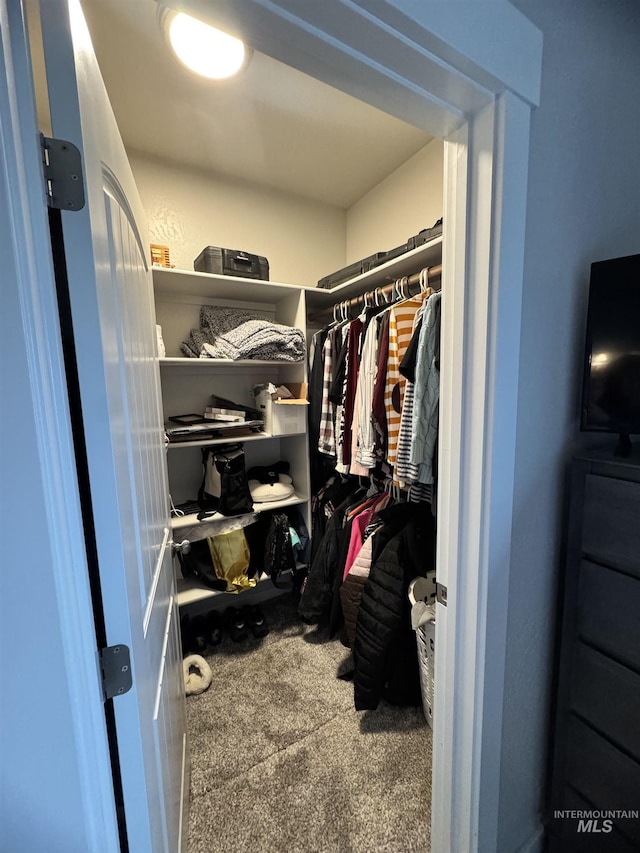 walk in closet with carpet flooring