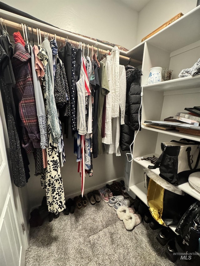 walk in closet with carpet flooring