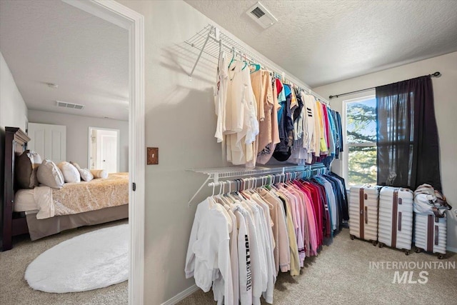 walk in closet with visible vents and carpet flooring