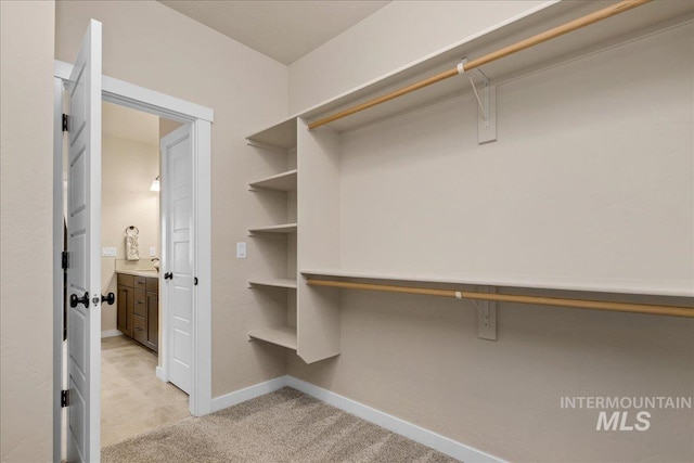 321 N Bay Haven Ave, Kuna, ID 83634 - spacious closet with light colored carpet