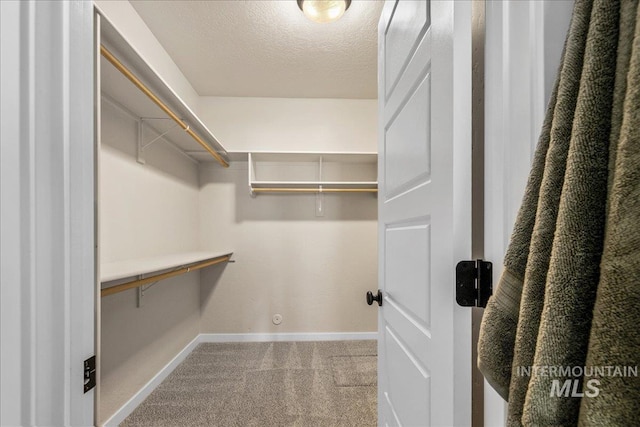 321 N Bay Haven Ave, Kuna, ID 83634 - walk in closet with carpet and attic access
