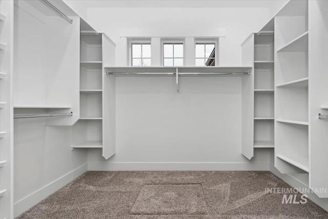 walk in closet with carpet