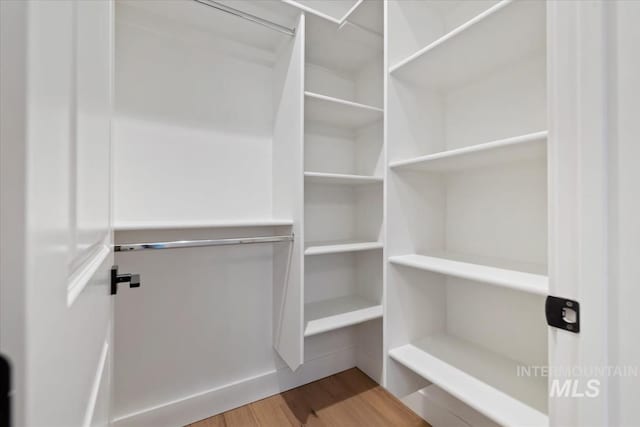 spacious closet featuring wood finished floors