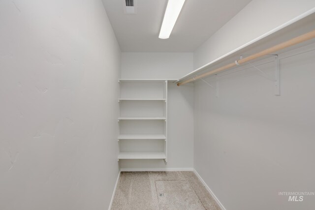 spacious closet featuring light carpet