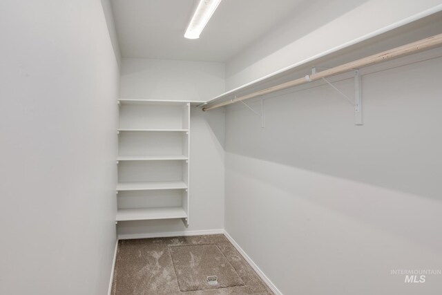 spacious closet featuring dark carpet