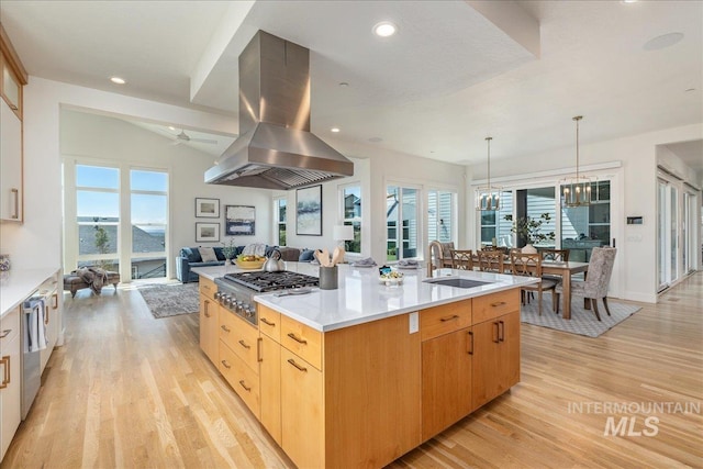 2391 S Trapper Pl, Boise, ID 83716 - kitchen featuring ceiling fan, island range hood, a sink, light wood finished floors, and appliances with stainless steel finishes
