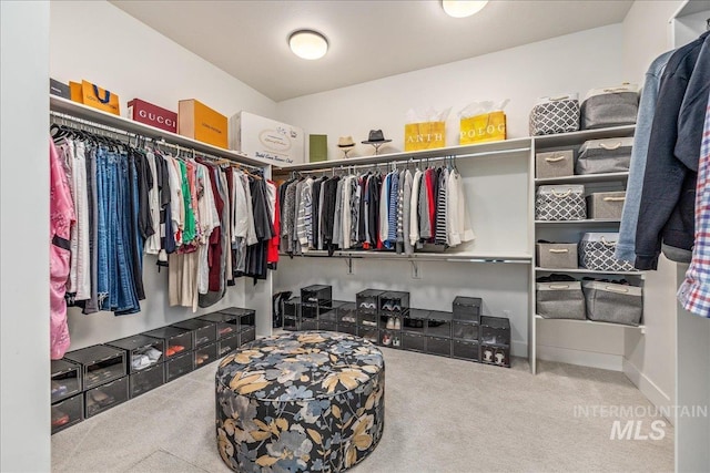 2391 S Trapper Pl, Boise, ID 83716 - spacious closet featuring carpet