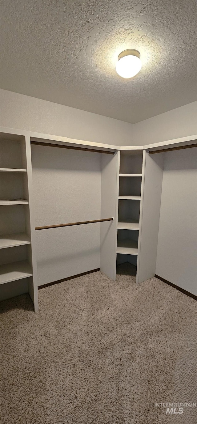 walk in closet with carpet floors