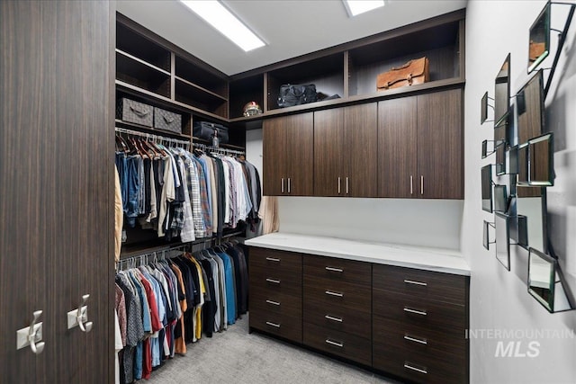 1865 E Lone Shore Ln, Eagle, ID 83616 - spacious closet featuring light colored carpet