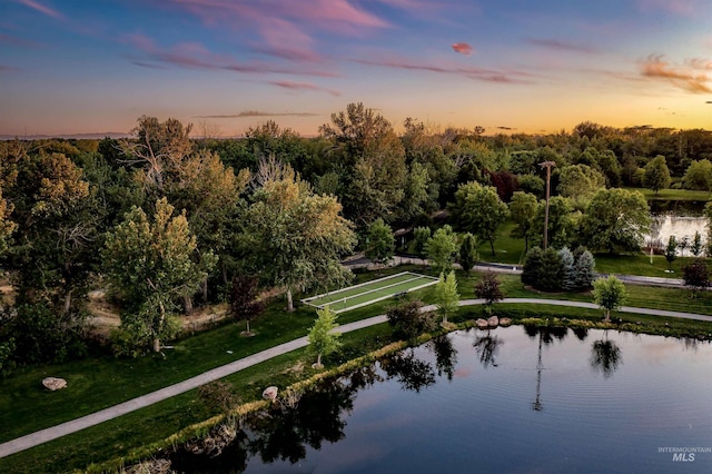 1865 E Lone Shore Ln, Eagle, ID 83616 - view of property's community with a lawn and a water view