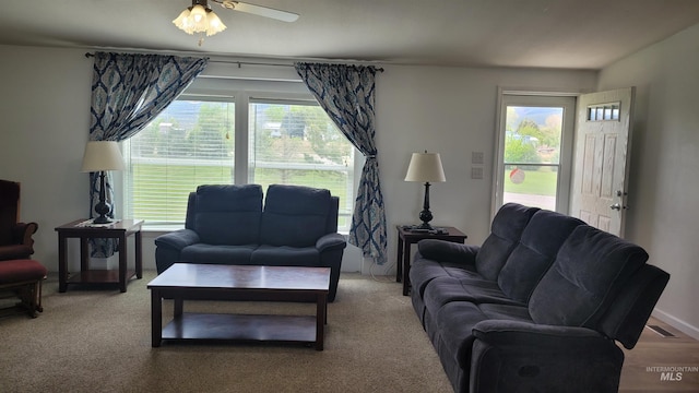 1455 S 2190 E, Malta, ID 83342 - living area with plenty of natural light and ceiling fan