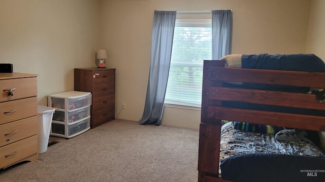 1455 S 2190 E, Malta, ID 83342 - bedroom featuring multiple windows and light carpet