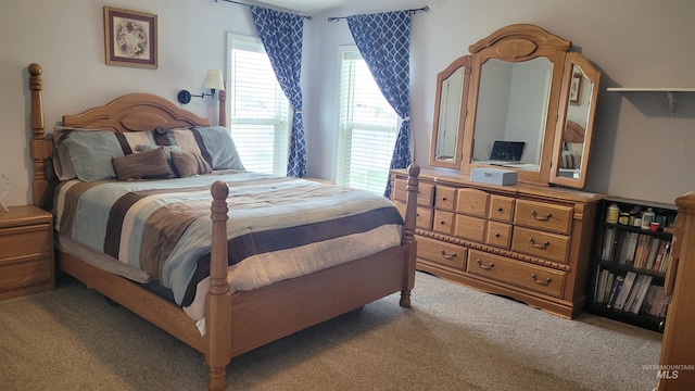 1455 S 2190 E, Malta, ID 83342 - view of carpeted bedroom