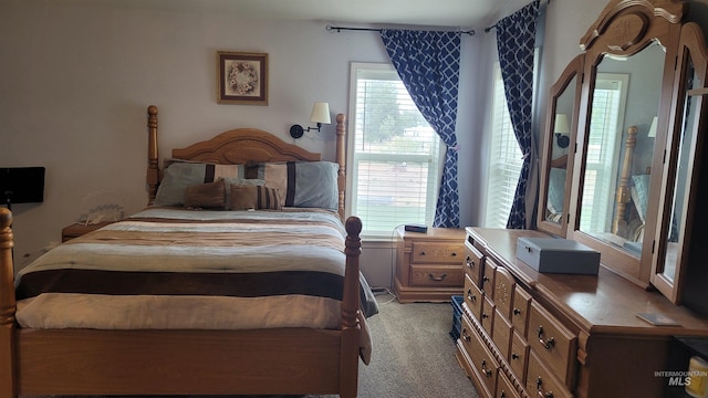 1455 S 2190 E, Malta, ID 83342 - bedroom with light carpet