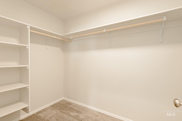 spacious closet featuring light carpet