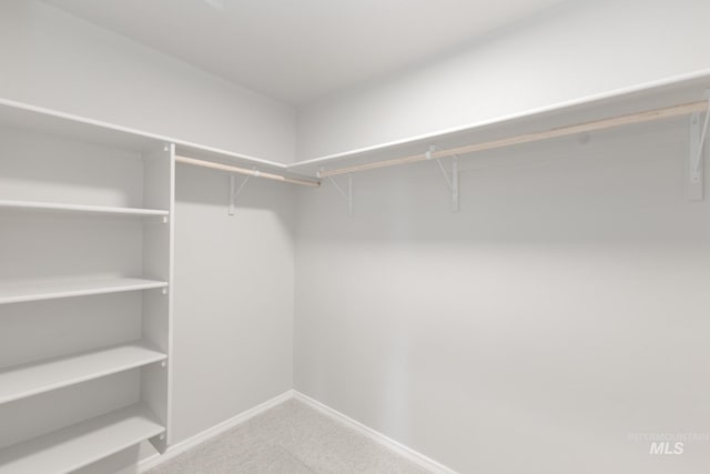 walk in closet featuring carpet floors and attic access