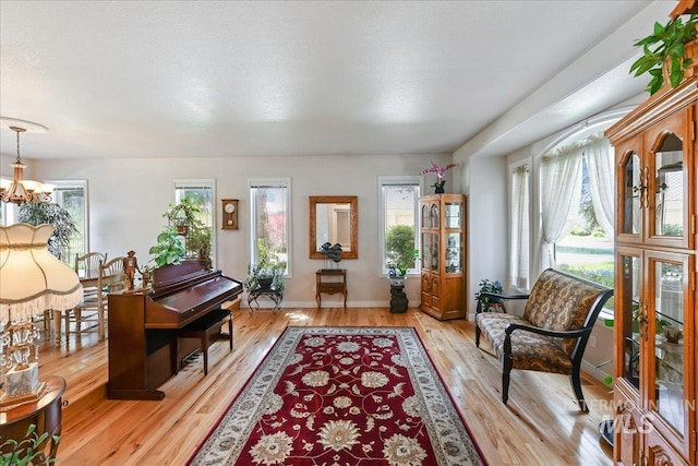 5130 N Lakemont Ln, Garden City, ID 83714 - foyer with healthy amount of natural light, light wood finished floors, a chandelier, and baseboards