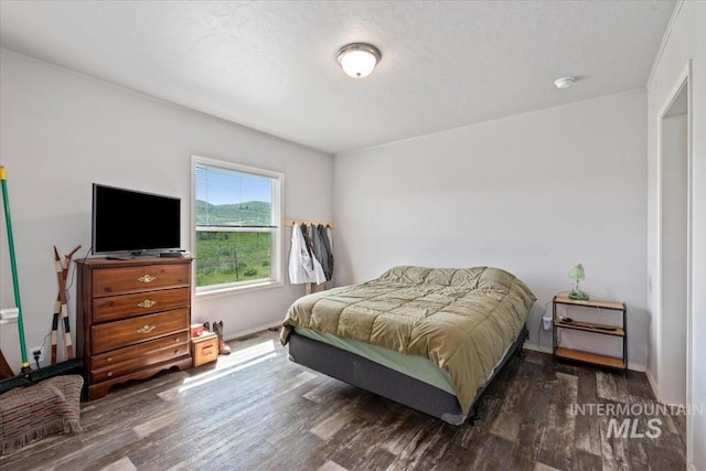1639 Cuddy View Dr, Council, ID 83612 - bedroom featuring dark hardwood / wood-style floors and a textured ceiling