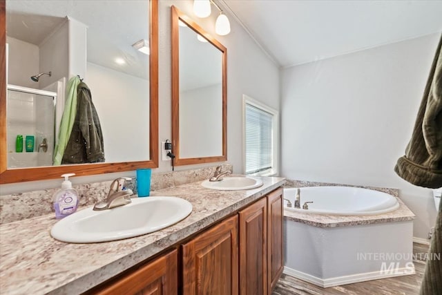 1639 Cuddy View Dr, Council, ID 83612 - bathroom with vanity and separate shower and tub