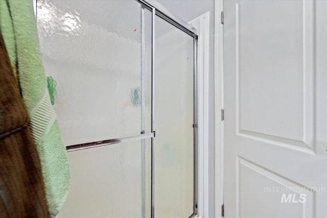 1639 Cuddy View Dr, Council, ID 83612 - bathroom with walk in shower