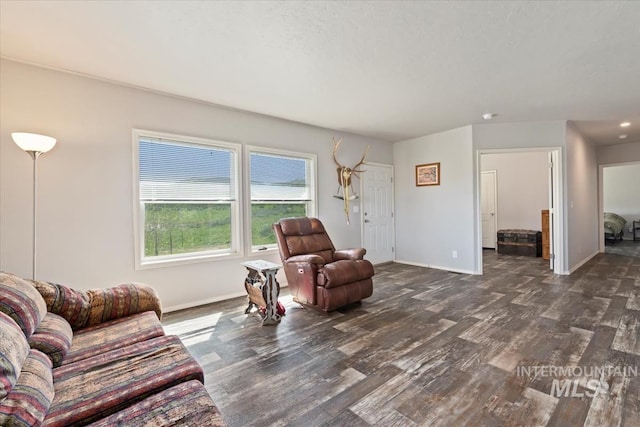 1639 Cuddy View Dr, Council, ID 83612 - living room with dark hardwood / wood-style flooring