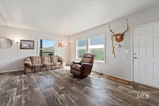 1639 Cuddy View Dr, Council, ID 83612 - living room featuring dark wood-type flooring and a textured ceiling