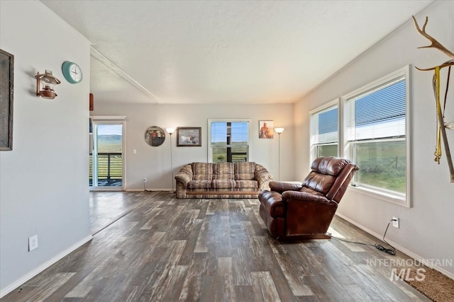 1639 Cuddy View Dr, Council, ID 83612 - living room with dark wood-type flooring