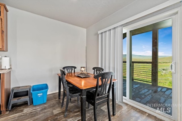 1639 Cuddy View Dr, Council, ID 83612 - dining space with dark hardwood / wood-style floors