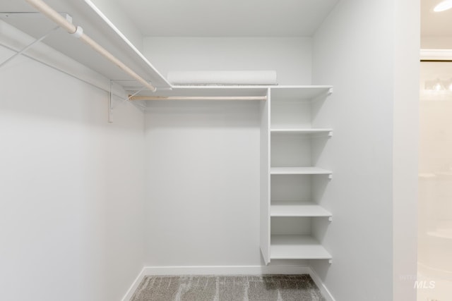 4364 N Glassford Ave, Meridian, ID 83646 - spacious closet with carpet flooring