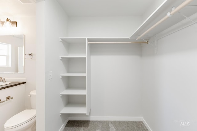 4364 N Glassford Ave, Meridian, ID 83646 - spacious closet with a sink and carpet floors