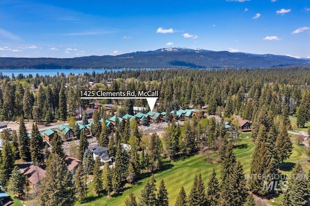 1425 Clements Rd Unit 5, Mccall, ID 83638 - drone / aerial view of a heavily wooded area and a water and mountain view