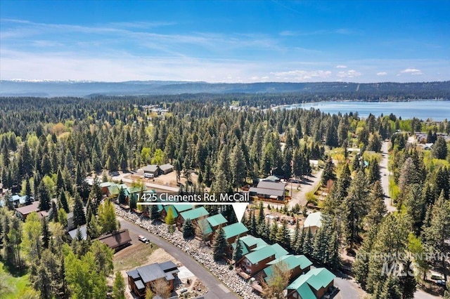 1425 Clements Rd Unit 5, Mccall, ID 83638 - aerial overview of property's location with a forest