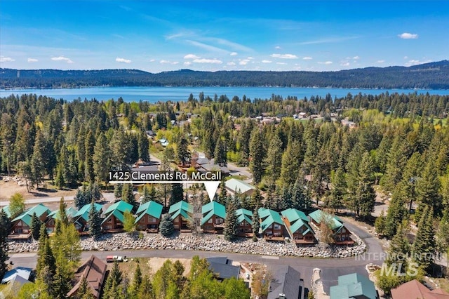 1425 Clements Rd Unit 5, Mccall, ID 83638 - bird's eye view of a forest and a large body of water