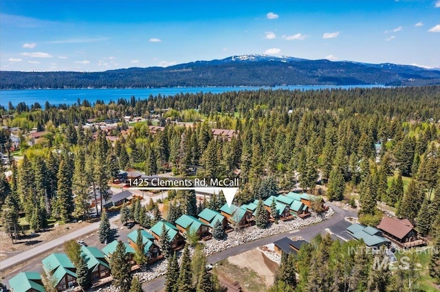 1425 Clements Rd Unit 5, Mccall, ID 83638 - bird's eye view of a forest and a water and mountain view