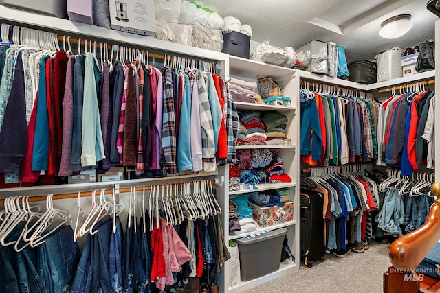 walk in closet featuring carpet