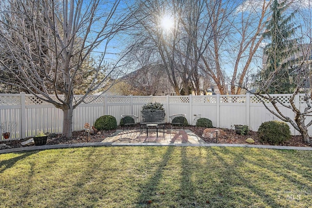 view of yard with a patio